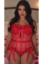 Top Drawer Steel Boned Red Mesh Underwire Bustier Corset - Daisy Corsets
